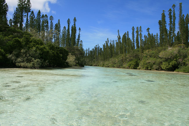 Paysage de l'Ile des Pins prs de la Piscine Naturelle