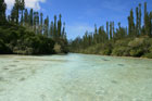 Ile des Pins Piscine Naturelle